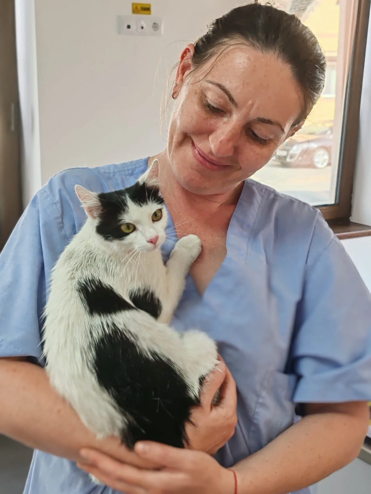 Dr. Claudia Lakatos Știrbați — fondatoare LaVet Medical Sibiu
