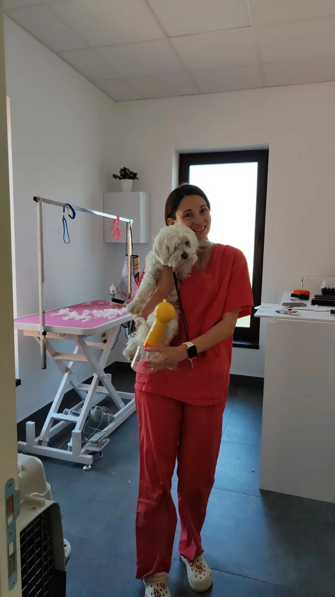 Ruxandra Peter — Specialist Grooming LaVet Medical Sibiu