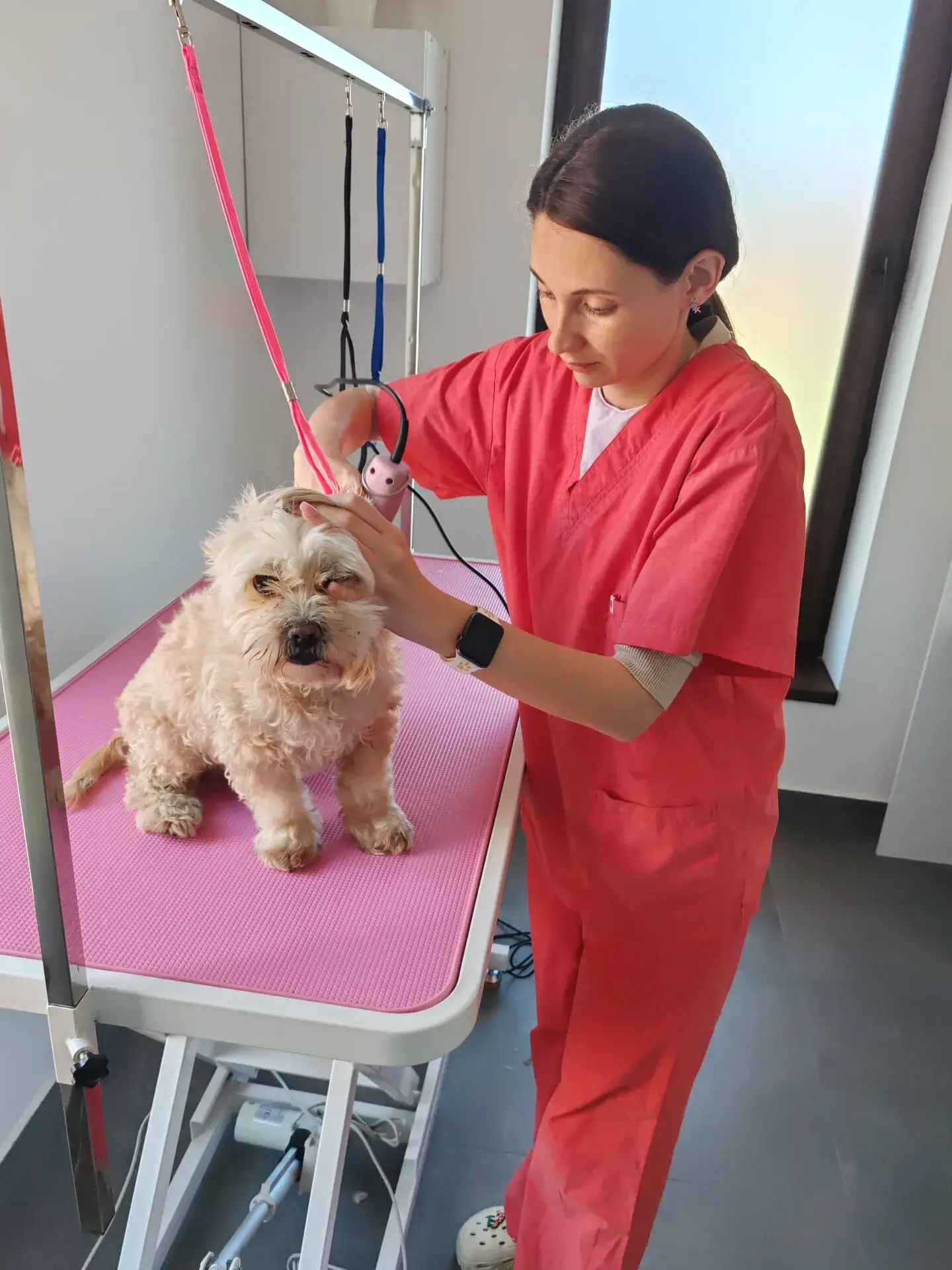 Grooming canin LaVet Medical Sibiu