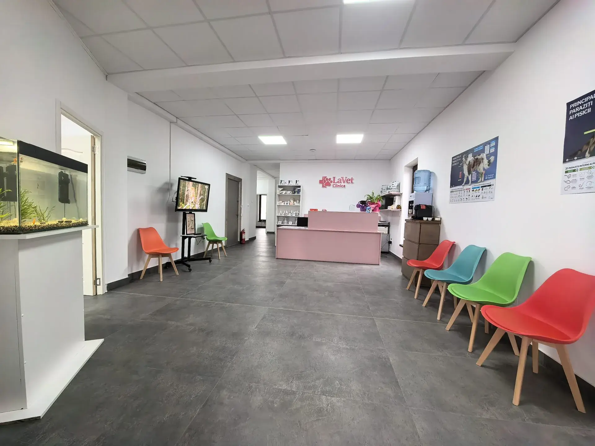 Recepție LaVet Medical Sibiu — clinică veterinară modernă