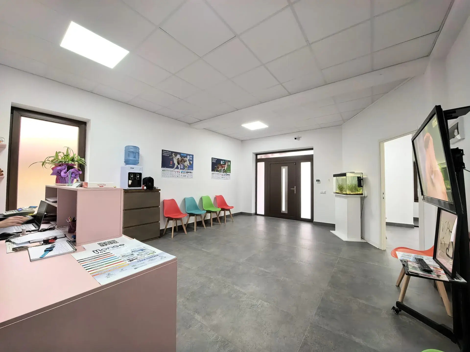 Sala de așteptare LaVet Medical Sibiu