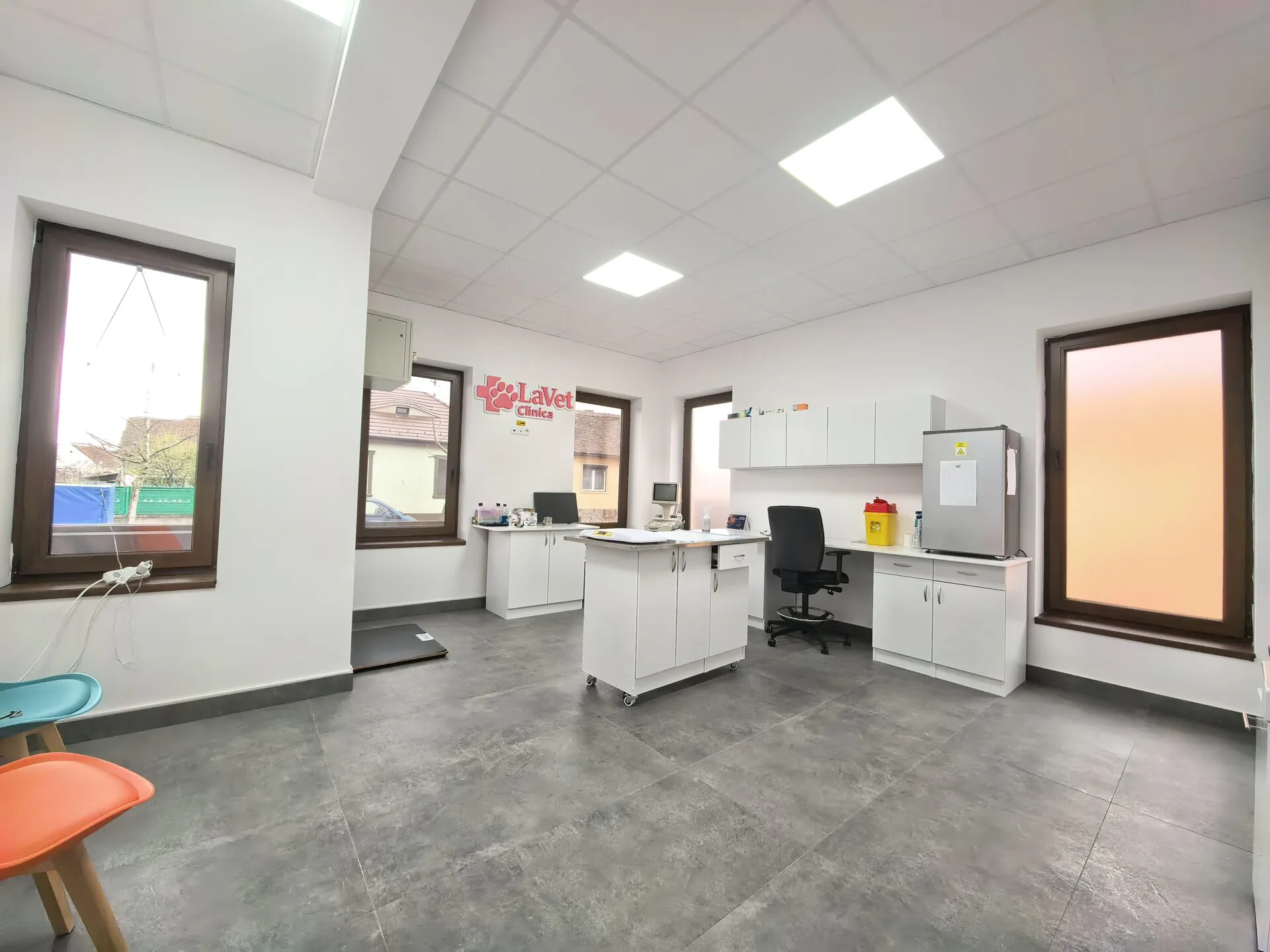Consultații veterinare LaVet Medical Sibiu